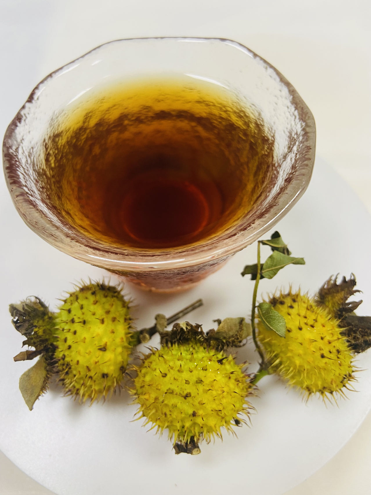 樽意酒业—“三王圣果”的贵州刺梨，究竟是什么“神仙”水果？